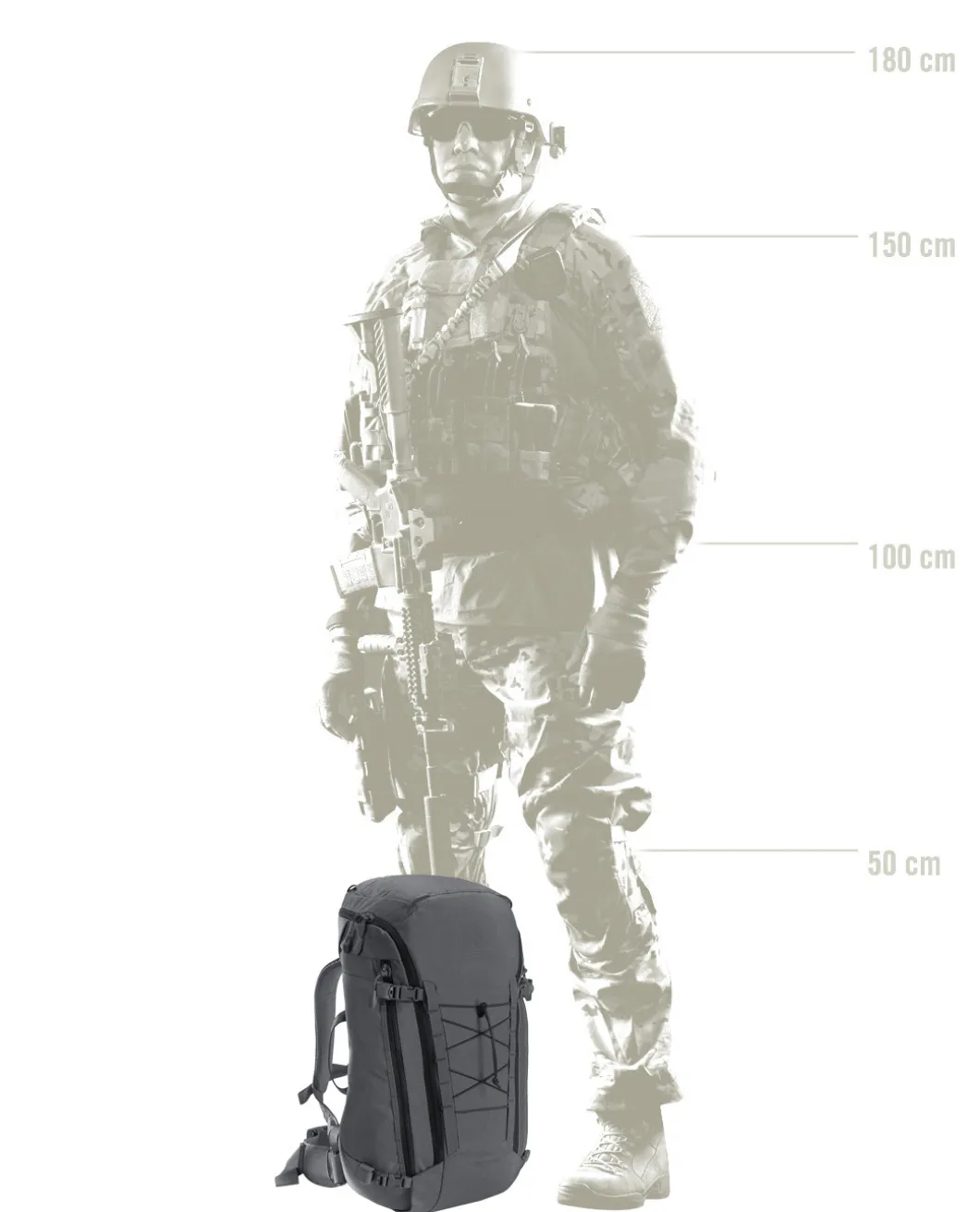 Assault Pack 45 Wolf