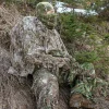 Backpack-Cover120 Concamo Green