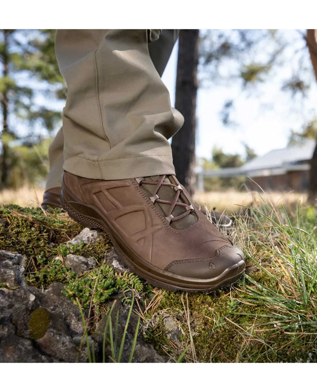 BLACK EAGLE Nature GTX Mid Braun