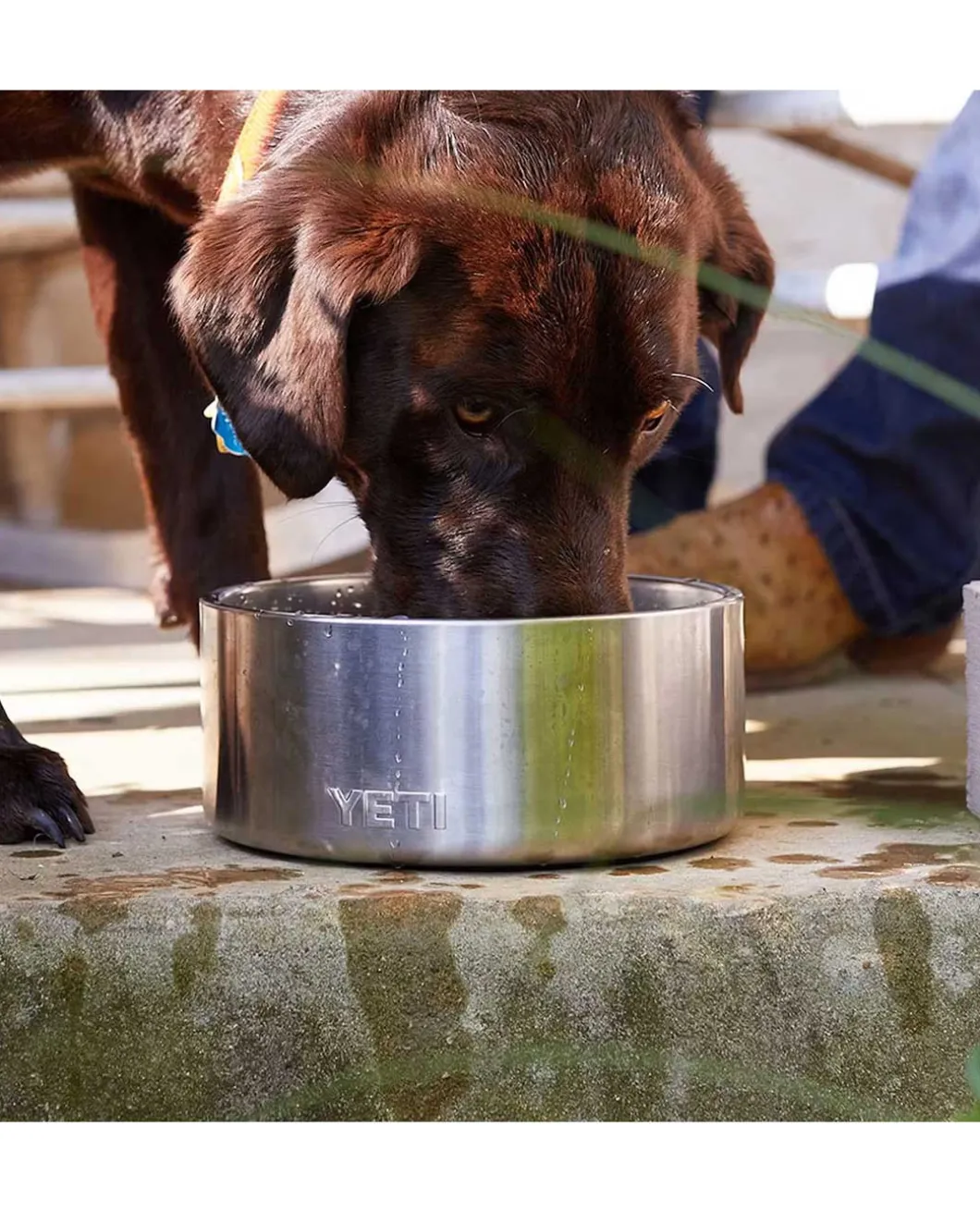 Boomer 4 Dog Bowl Nordic Blue Petrol