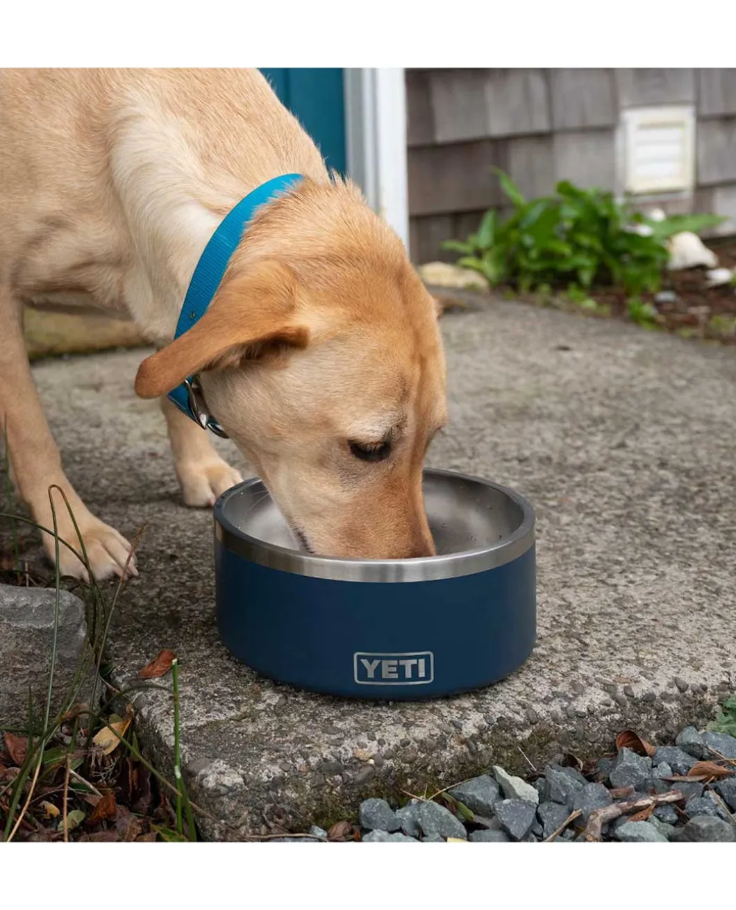 Boomer 8 Dog Bowl Seafoam Mint