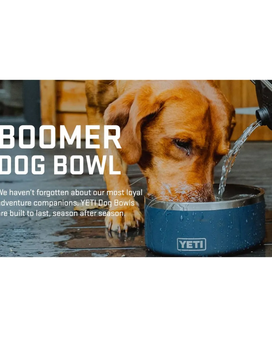 Boomer 8 Dog Bowl Seafoam Mint