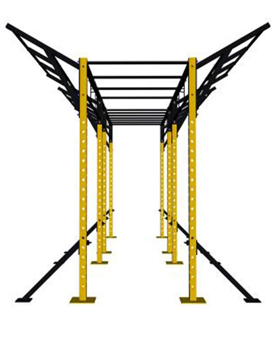 Destroyer Functional Training Rig