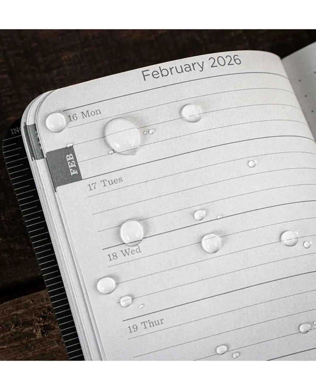 POCKET CALENDAR - 2026