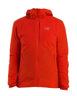 Practitioner AR Hoody Women's Dynasty