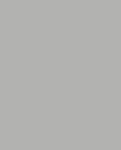Tarnfarbe EC Paint Grau