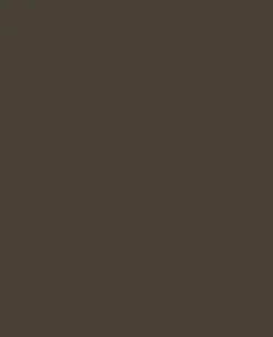 Tarnfarbe EC Paint Mud Brown