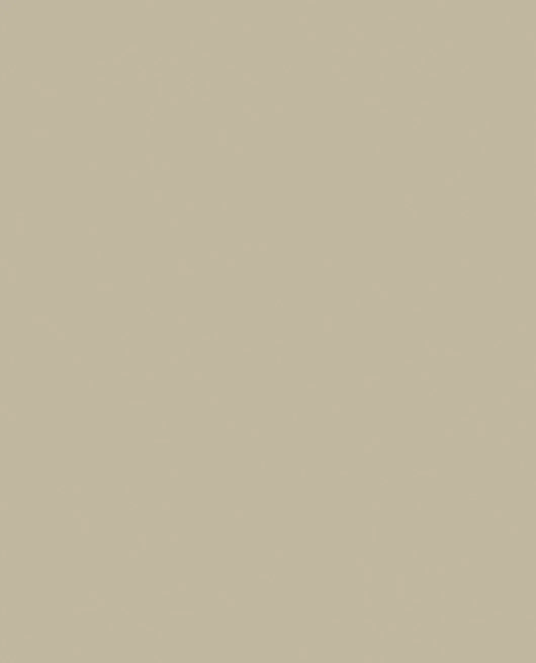 Tarnfarbe EC Paint Sand