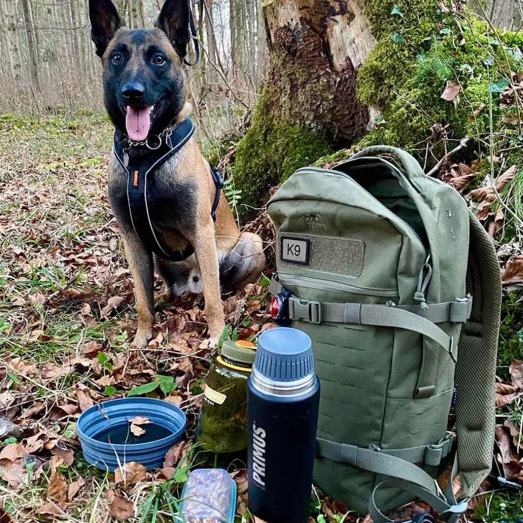 TT Modular Daypack L Oliv